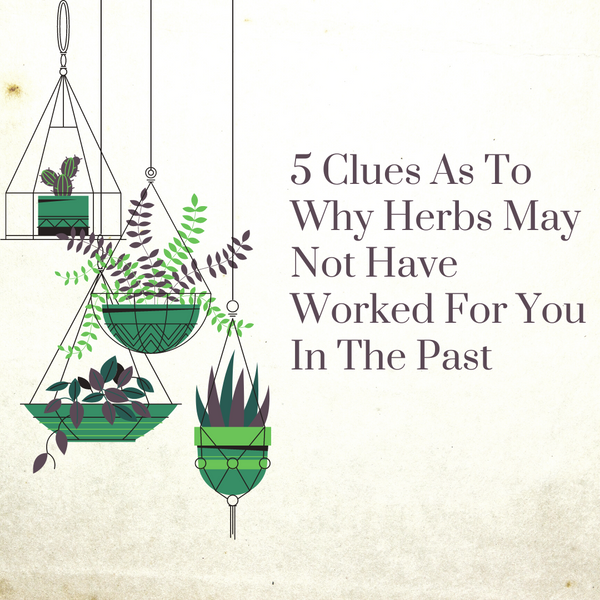 5 Clues As To Why Herbs May Not Have Worked For You In The Past