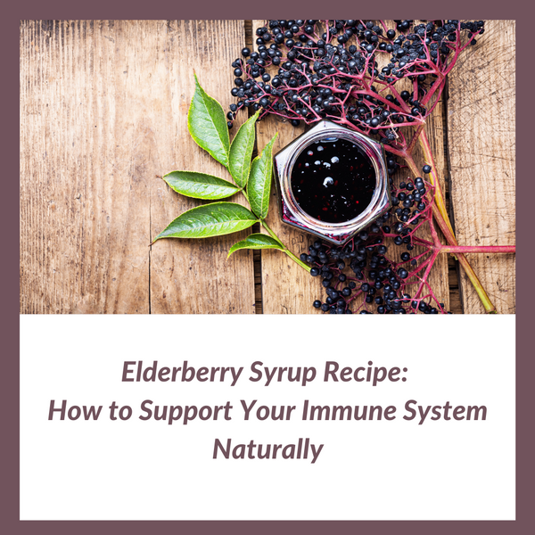 Elderberry Syrup Recipe: How to Support Your Immune System Naturally