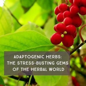 Adaptogenic Herbs: The Stress-Busting Gems of the Herbal World