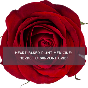 Heart-Based Plant Medicine: Herbs to Support Grief