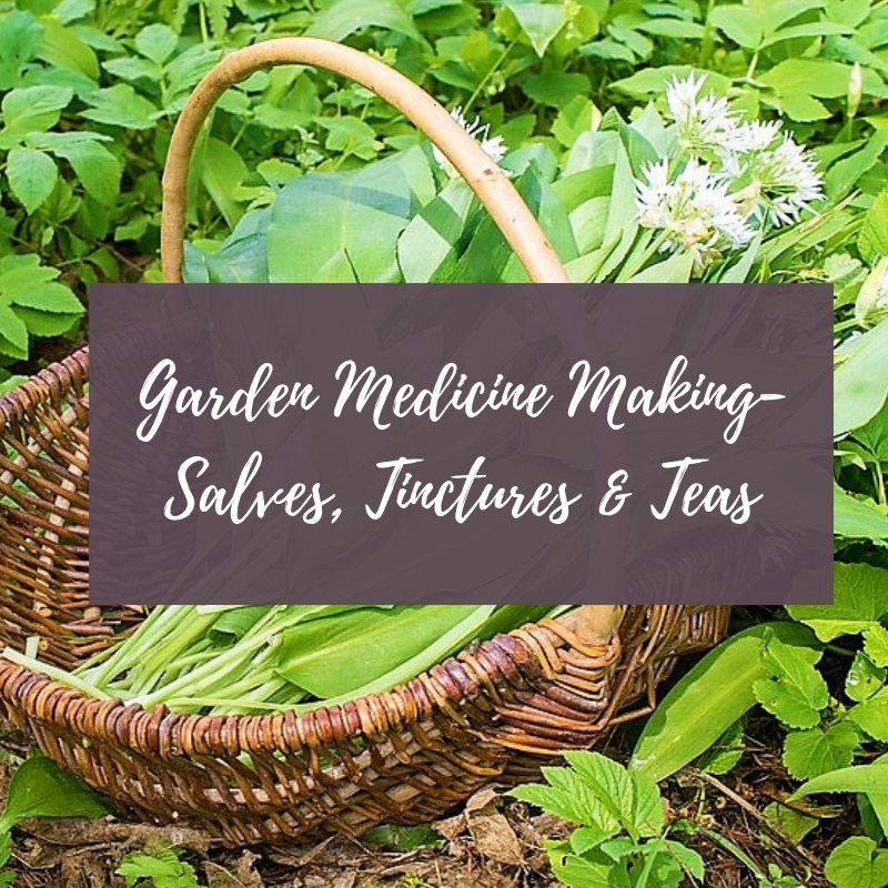 Garden Medicine Making - Salves, Tinctures & Teas (August 22, 2019)