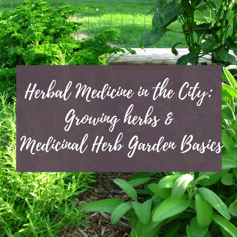 Herbal Medicine in the City: Growing Herbs & Medicinal Herb Garden Basics (June 5, 2019)